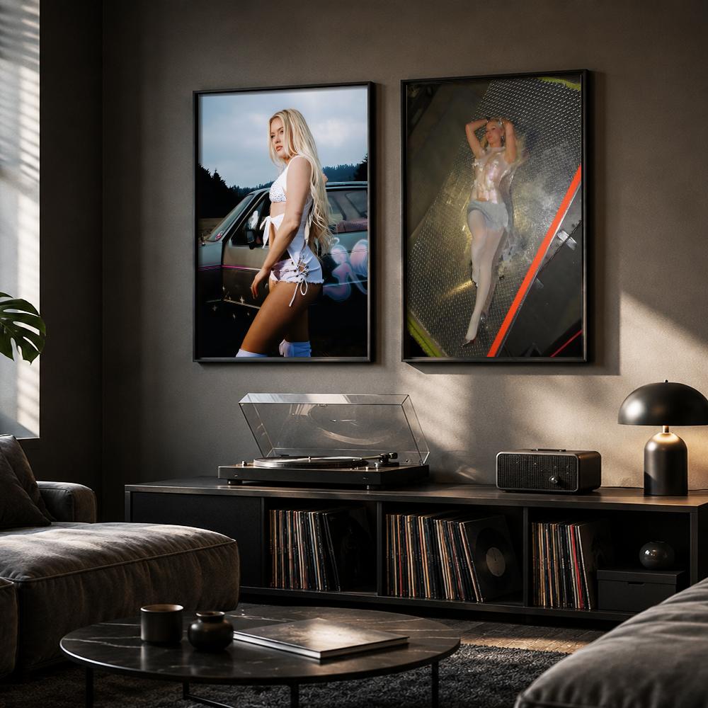Zara L-Larsson Rapper Album Po - Home Office Printer avis et prix