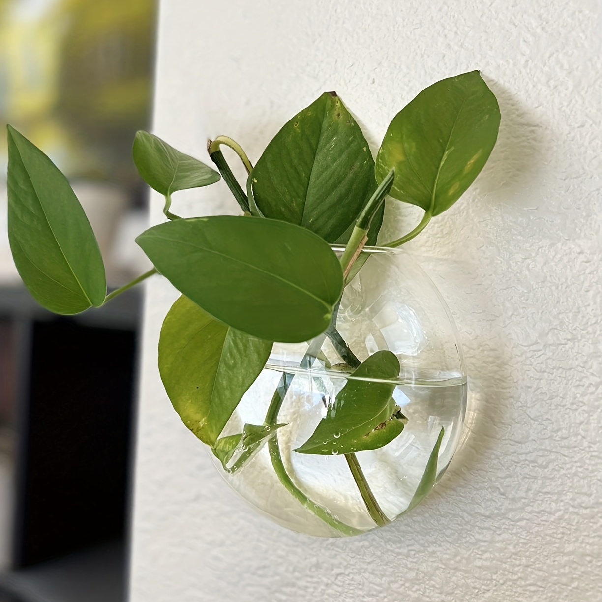 Vase de pot de fleur en verre  - Home Office Form avis et prix